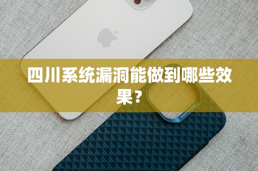四川系统漏洞能做到哪些效果？