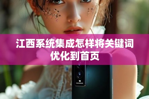 江西系统集成怎样将关键词优化到首页