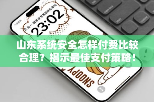 山东系统安全怎样付费比较合理？揭示最佳支付策略！