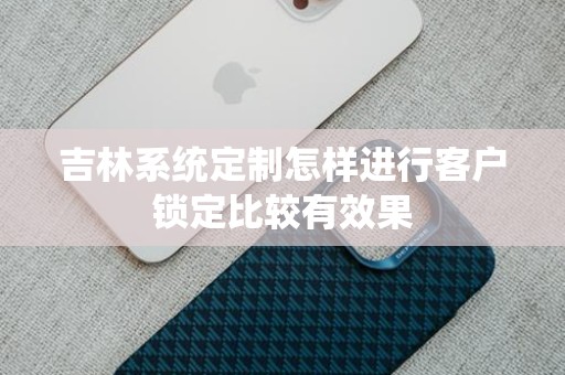 吉林系统定制怎样进行客户锁定比较有效果