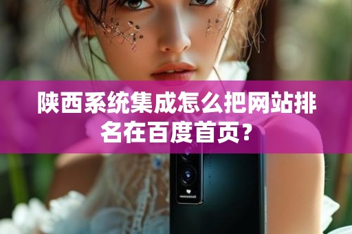 陕西系统集成怎么把网站排名在百度首页？