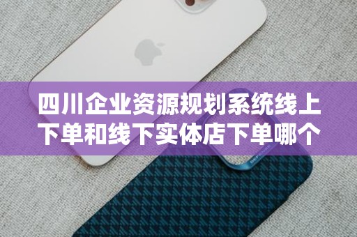 四川企业资源规划系统线上下单和线下实体店下单哪个好？