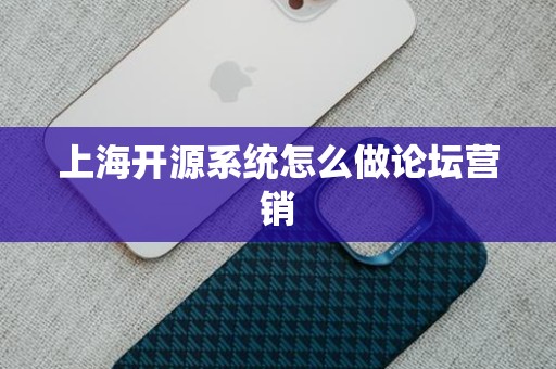 上海开源系统怎么做论坛营销