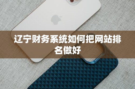 辽宁财务系统如何把网站排名做好