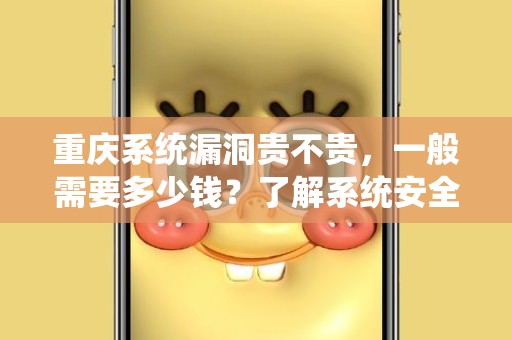 重庆系统漏洞贵不贵，一般需要多少钱？了解系统安全的重要性