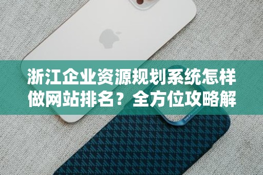 浙江企业资源规划系统怎样做网站排名？全方位攻略解析