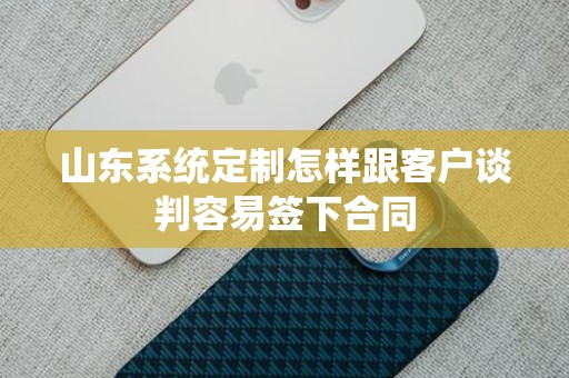 山东系统定制怎样跟客户谈判容易签下合同