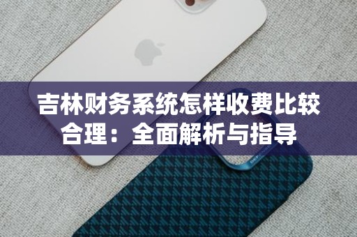 吉林财务系统怎样收费比较合理：全面解析与指导