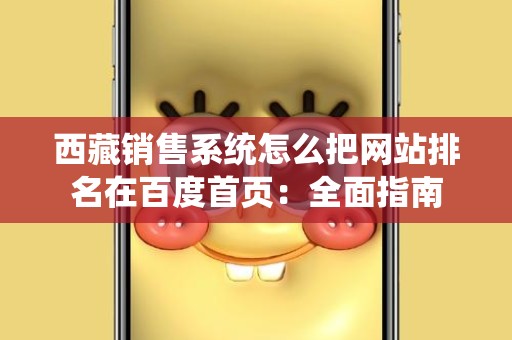西藏销售系统怎么把网站排名在百度首页：全面指南