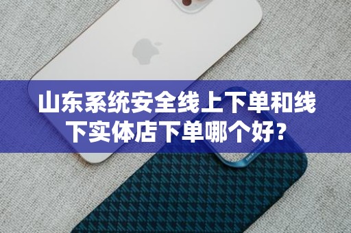 山东系统安全线上下单和线下实体店下单哪个好？