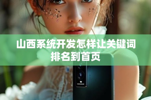 山西系统开发怎样让关键词排名到首页