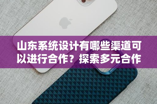 山东系统设计有哪些渠道可以进行合作？探索多元合作模式