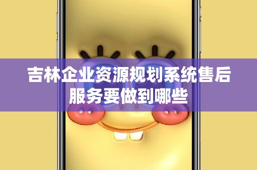 吉林企业资源规划系统售后服务要做到哪些