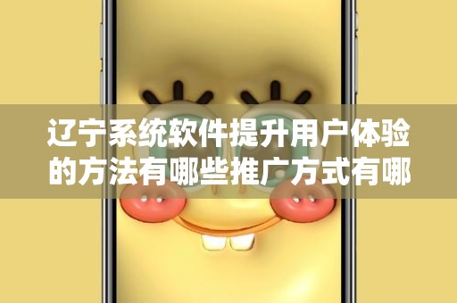 辽宁系统软件提升用户体验的方法有哪些推广方式有哪些