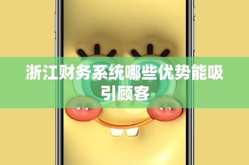 浙江财务系统哪些优势能吸引顾客