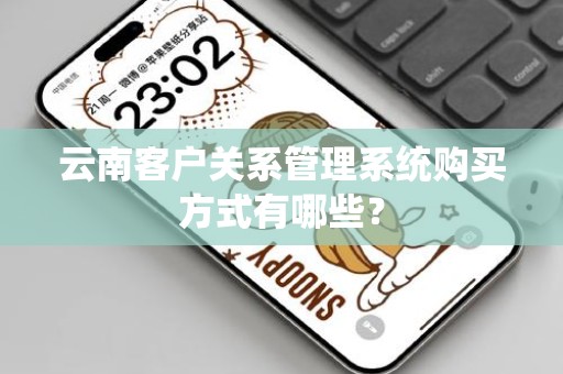 云南客户关系管理系统购买方式有哪些？