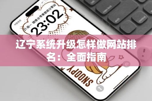 辽宁系统升级怎样做网站排名：全面指南