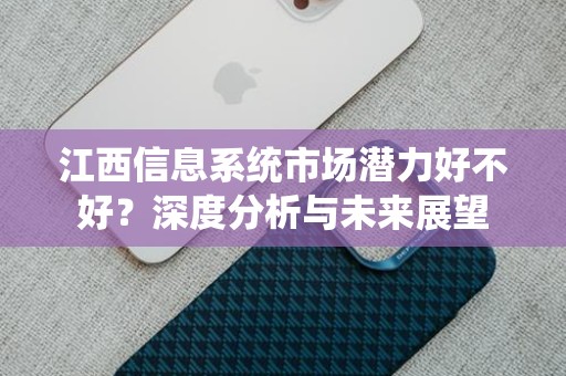 江西信息系统市场潜力好不好？深度分析与未来展望