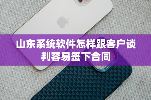 山东系统软件怎样跟客户谈判容易签下合同