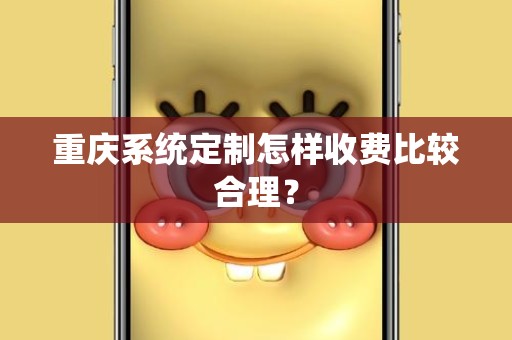 重庆系统定制怎样收费比较合理？