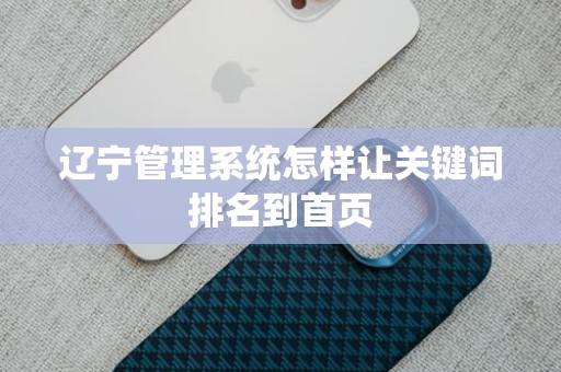 辽宁管理系统怎样让关键词排名到首页