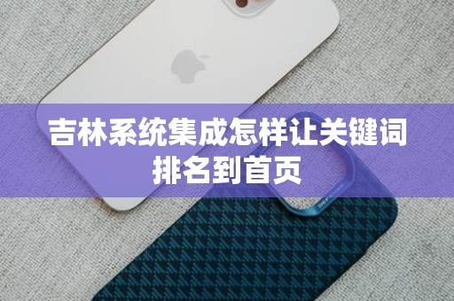 吉林系统集成怎样让关键词排名到首页