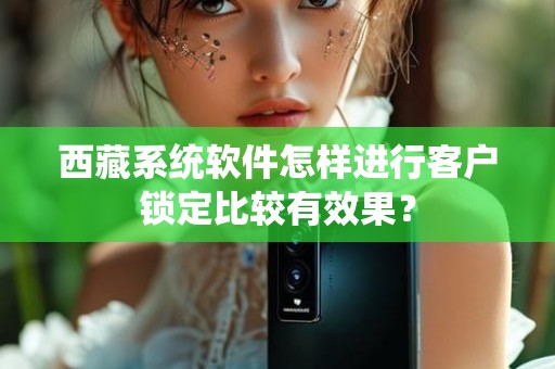 西藏系统软件怎样进行客户锁定比较有效果？