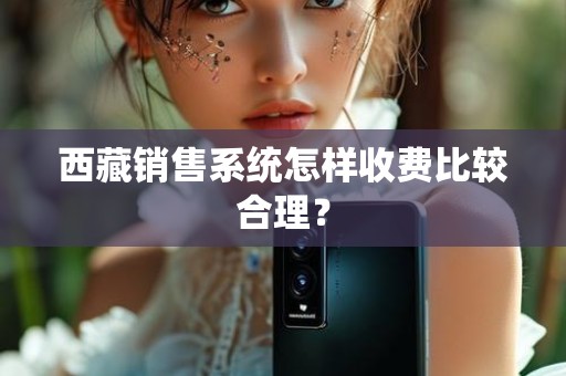 西藏销售系统怎样收费比较合理？