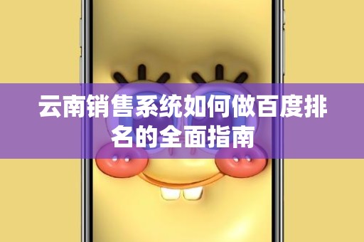 云南销售系统如何做百度排名的全面指南