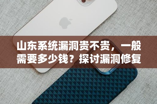山东系统漏洞贵不贵，一般需要多少钱？探讨漏洞修复的成本和价值