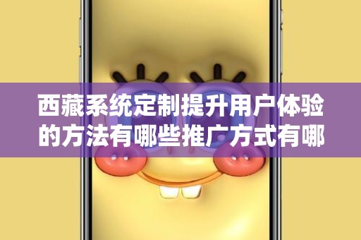 西藏系统定制提升用户体验的方法有哪些推广方式有哪些