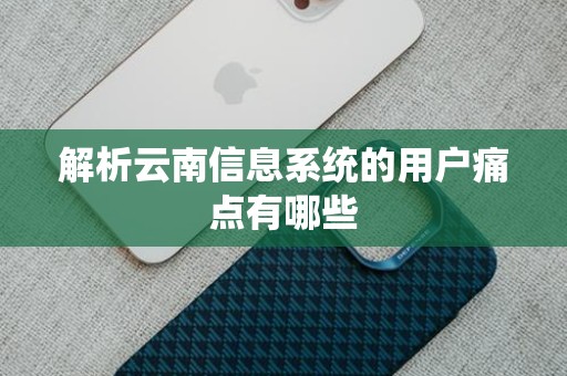 解析云南信息系统的用户痛点有哪些