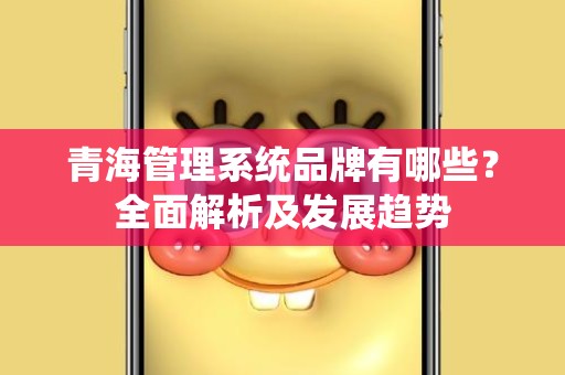 青海管理系统品牌有哪些？全面解析及发展趋势