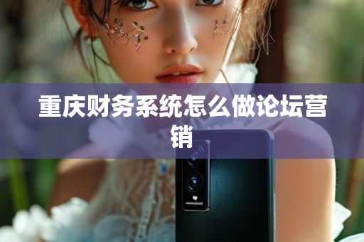 重庆财务系统怎么做论坛营销