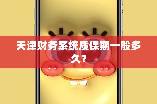 天津财务系统质保期一般多久？