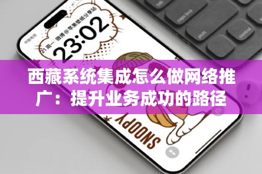 西藏系统集成怎么做网络推广：提升业务成功的路径