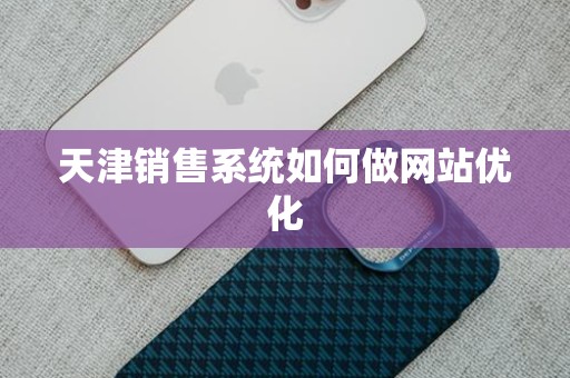 天津销售系统如何做网站优化
