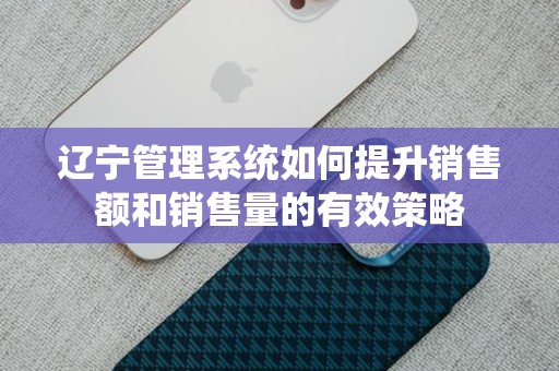 辽宁管理系统如何提升销售额和销售量的有效策略