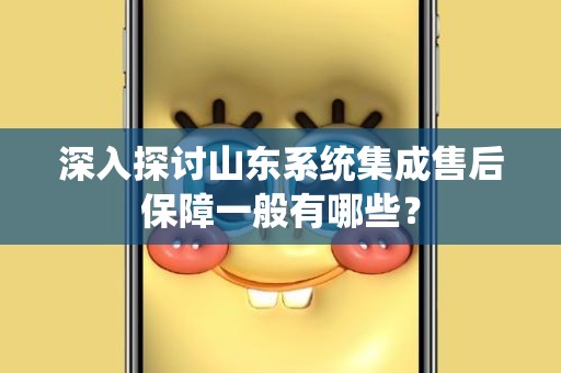 深入探讨山东系统集成售后保障一般有哪些？