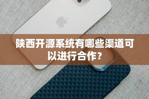 陕西开源系统有哪些渠道可以进行合作？