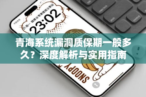 青海系统漏洞质保期一般多久？深度解析与实用指南