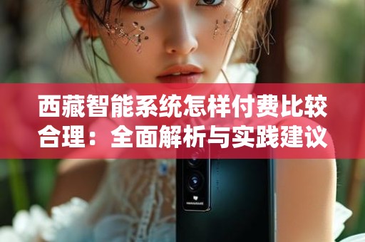 西藏智能系统怎样付费比较合理：全面解析与实践建议
