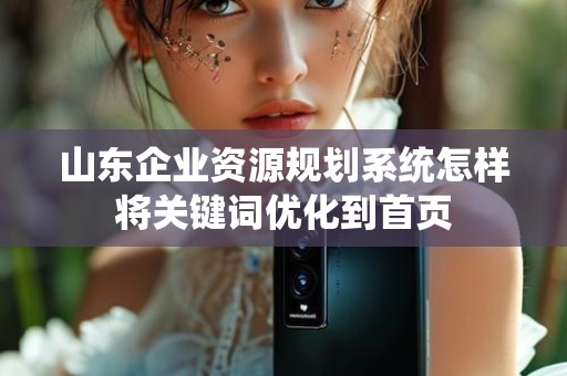 山东企业资源规划系统怎样将关键词优化到首页