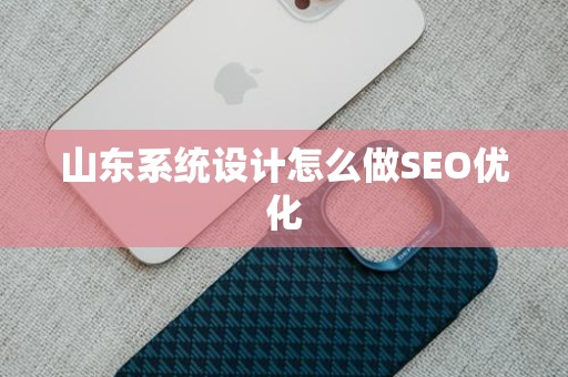 山东系统设计怎么做SEO优化