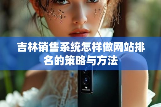 吉林销售系统怎样做网站排名的策略与方法