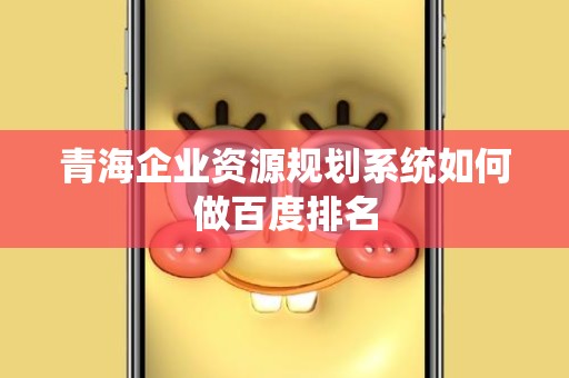 青海企业资源规划系统如何做百度排名