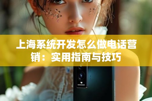 上海系统开发怎么做电话营销：实用指南与技巧