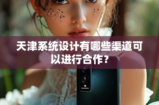 天津系统设计有哪些渠道可以进行合作？