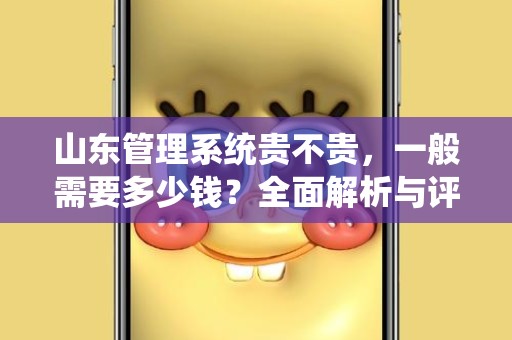 山东管理系统贵不贵，一般需要多少钱？全面解析与评估