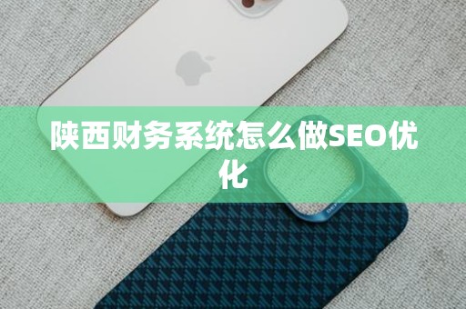 陕西财务系统怎么做SEO优化